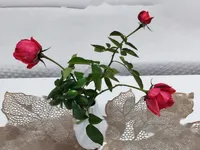 Недвижимость Трёхкомнатная квартира Бертоки: 16