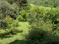 Недвижимость Дом с террасой в Руднике: 5