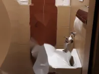 Недвижимость Дом с террасой в Руднике: 10