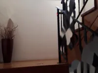 Недвижимость Дом с террасой в Руднике: 16