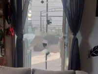 Недвижимость Трехкомнатная квартира, центр: 3