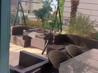 Недвижимость Трехкомнатная квартира, центр: 4