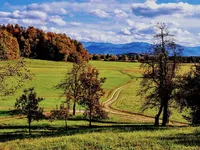 Недвижимость Земельный участок под жилую застройку (девелопмент-проект): 8