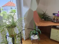 Недвижимость Двухэтажный дом с садом: 20