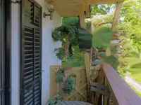 Недвижимость Дом Залож Идиллия: 10