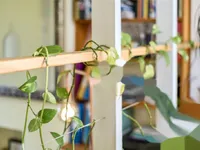 Недвижимость Nelson Road: 2