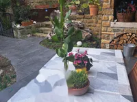 Недвижимость Дом, Порторож: 8