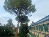 Недвижимость Квартира на улице Семинария 24: 3