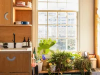 Недвижимость Clapham Road, Oval: 6