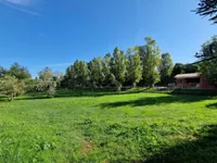 Недвижимость Apartment Mandelieu-La-Napoule: 19