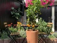 Недвижимость Дом с террасой Мургле: 6