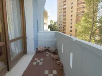 Недвижимость Квартира в центре Гориции: 17