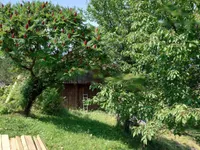 Недвижимость Имение, ферма Равне, пристава: 1