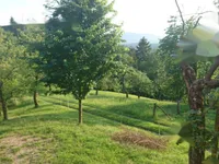 Недвижимость Имение, ферма Равне, пристава: 6