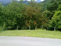 Недвижимость Имение, ферма Равне, пристава: 10