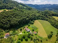 Недвижимость Усадьба, ферма Рифник, Шентюр при Целье.: 8