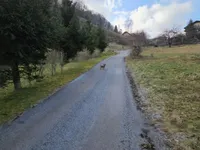 Недвижимость Усадьба, ферма Римские Топлице.: 2