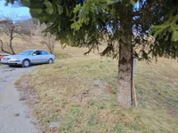 Недвижимость Усадьба, ферма Римские Топлице.: 5