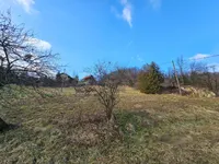 Недвижимость Усадьба, ферма Римские Топлице.: 14