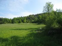 Недвижимость Усадьба, Ферма Беч: 1