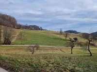 Недвижимость Усадьба, ферма Березовая.: 19