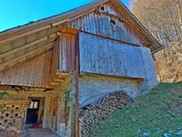 Недвижимость Недвижимость, ферма Чолнище: 19