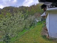 Недвижимость Недвижимость, ферма Чолнище: 24