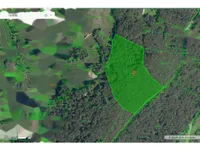 Недвижимость Недвижимость, ферма Чолнище: 28