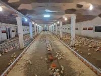 Недвижимость Усадьба Фаровец рядом со Словенской Бистрицей: 2