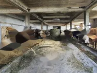 Недвижимость Усадьба и ферма Габрник: 8