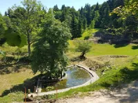 Недвижимость Поместье, Ферма Горе: 10