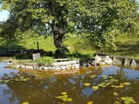 Недвижимость Поместье, Ферма Горе: 11