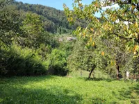 Недвижимость Усадьба, фермерское хозяйство Храстник: 11