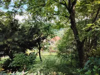 Недвижимость Усадьба, фермерское хозяйство Храстник: 13