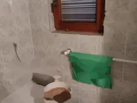 Недвижимость Усадьба, фермерское хозяйство Храстник: 14