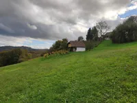 Недвижимость Поместье, ферма Каменце: 7