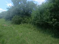 Недвижимость Поместье, ферма Кобилье: 5