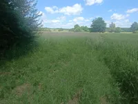 Недвижимость Поместье, ферма Кобилье: 6