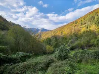 Недвижимость Дом в Объятии Природы: 10