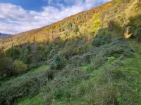 Недвижимость Дом в Объятии Природы: 11