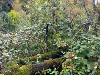 Недвижимость Дом в Объятии Природы: 12