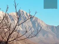 Недвижимость Дом в Трново-об-Сочи: 13