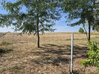 Недвижимость Дом, Зеньковцы: 28