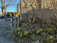 Недвижимость Дом в Голаце: 9