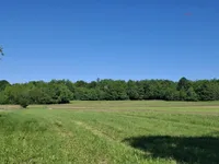 Недвижимость Дом в Доленей Сухор при Винице: 6