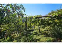 Недвижимость Дом Другое Глобока: 4