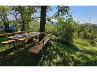 Недвижимость Дом Другое Глобока: 23