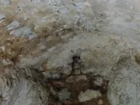 Недвижимость Дом, Локовец: 11