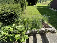 Недвижимость Дом, Белски Врх: 19