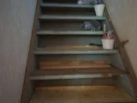 Недвижимость Дом, Чершаки: 13